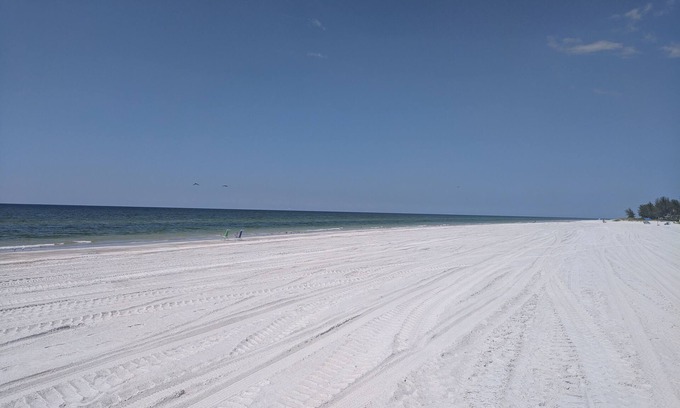 Indian Shores Condo | Bright Condo with Private Beach Access and Short Drive to Cities and Parks