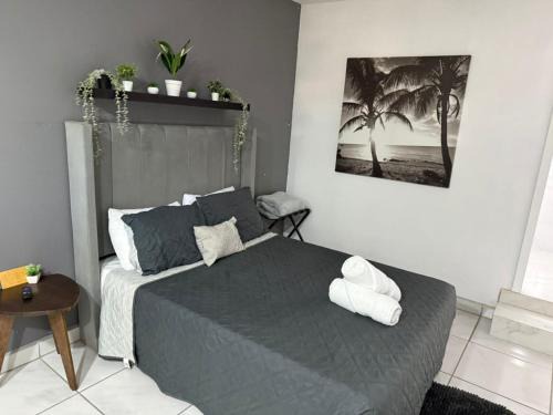 Primera Seccion Apartment | Brisa Serena