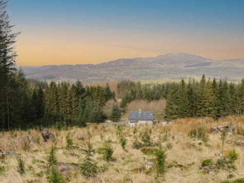 Dolgellau House | Brithgwm Canol