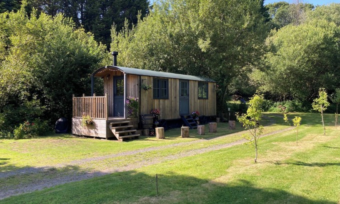 Saltash Cabin | Brook the shepherds hut in tranquil wooded surroundings