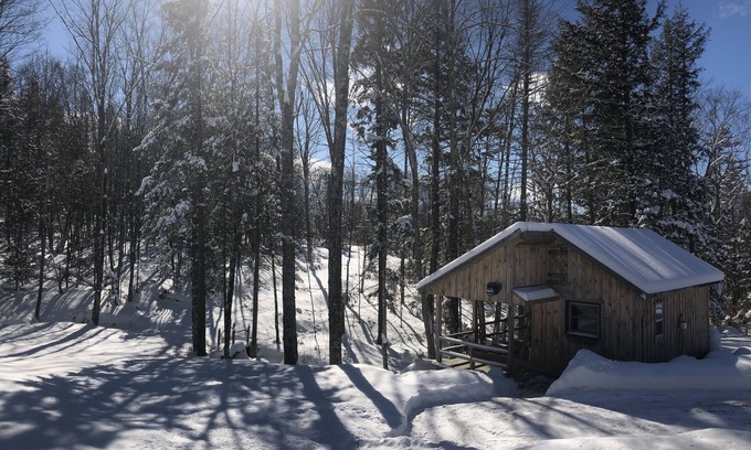 Washington Cottage | Brookside cabin on Budding Homestead