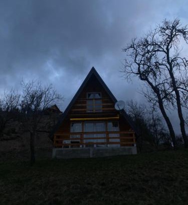 Bajina Basta House | Brvnara Iva