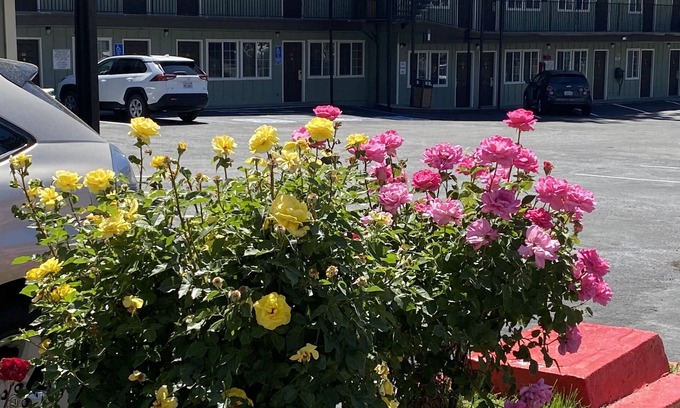 Lakeside Park Hotel | Budget INN At The Heavenly Gondola