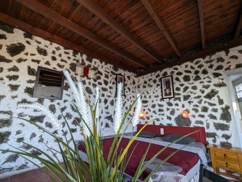 La Asomada Apartment | Buena Vista, Sea View Apto de Oasis Vasiliko , La Asomada
