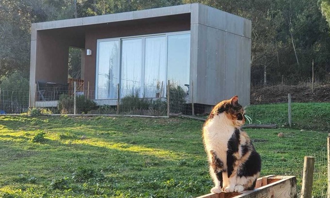 Casal de Ermio House | Bungalow your refuge in the Serra da Lousã | Nature, Adventure & Tranquillity.