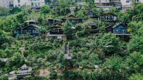 Da Lat Cabin | Cú Trên Cây Homestay