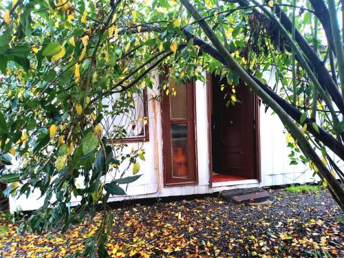 Valdivia Apartment | Cabaña Económica Low Cost Independiente Veinte mil x persona Veintiocho mil x dos Valor total a pagar por cada noche Bienvenidos