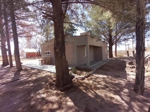 Barreal House | Cabaña Los Pinos