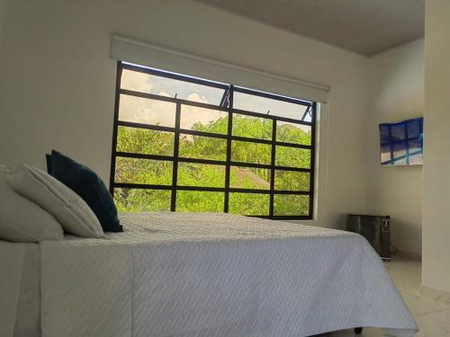 Apulo Apartment | Cabaña Oporto