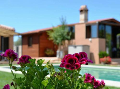 Fuente el Fresno House | Cabaña Rural ¨La Huerta de los Serijos¨