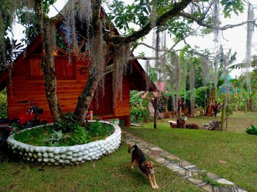 Filandia House | Cabañas la Miranda
