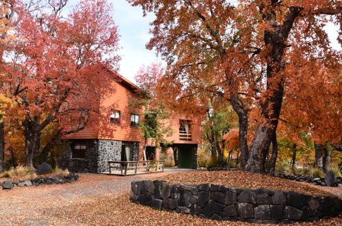 Pinto Cabin | Cabañas Las Cabras