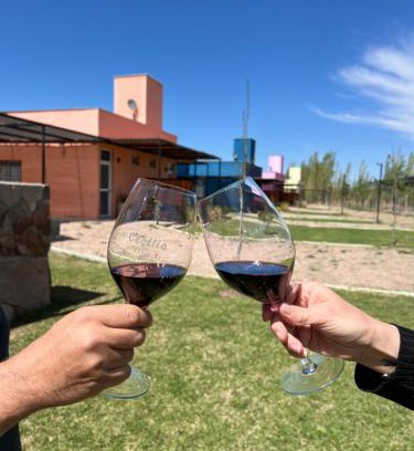 Rama Caida Apartment | Cabañas para 2 personas Caminito al Atuel