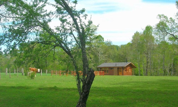 Curacautin House | Cabañas Valle del Río