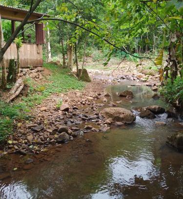 Rolante House | Cabanas altos da glória
