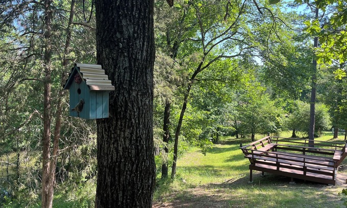 Royal Cabin | Cabin #18 Hillside Hideaway, small dog, 45 lb or under with 99 fee. Great View
