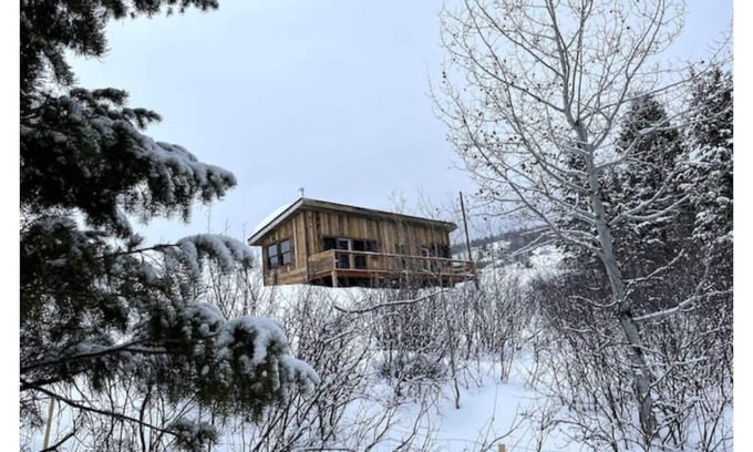 Victor Cabin | Cabin on the Creek