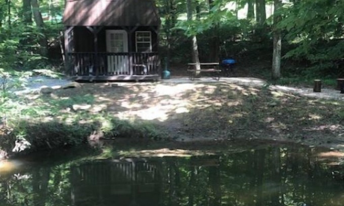Logan Cabin | Cabins in a Clearing: Walnut, Chestnut & Beech - Check all three
