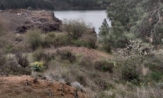Cheney RV Rental | Camping at Williams Lake