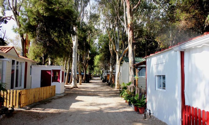 Alcanar Other | Camping Cases