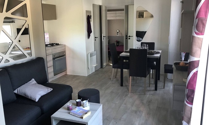 Ronce-les-Bains House | Camping la Pignade **** New luxury mobile home with air conditioning and terrace