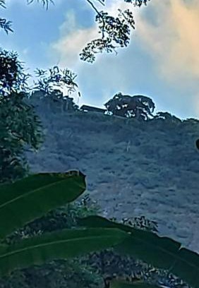 Sao Conrado Other | Camping São Conrado com cachoeira exclusiva, perto da praia e da Pedra Bonita