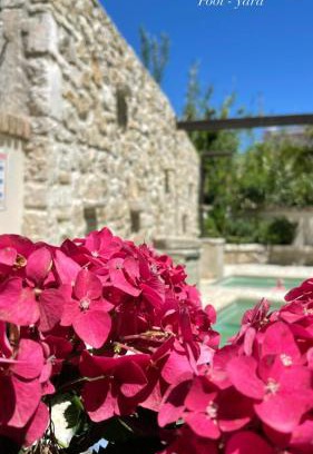 Corfu Town Apartment | Carpofoli Corfu