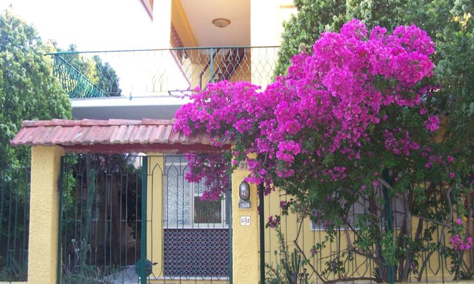 Maladroscia Apartment | Casa al mare Isola di Sant'Antioco