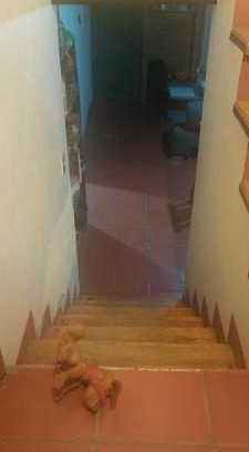 zona dos extendida House | Casa del Sur Querétaro
