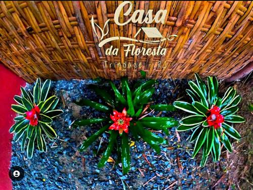 Paraty House | Casa da Floresta