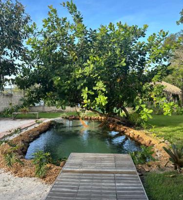 Alter do Chao House | Casa do Lago em Alter do Chão