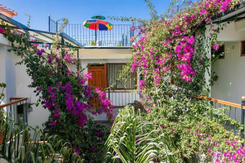 Historical Center House | Casa El Errante