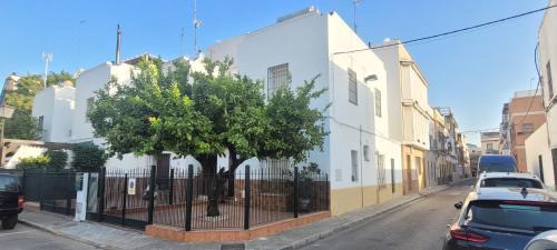 Cruz Roja-Capuchinos House | Casa El limonero