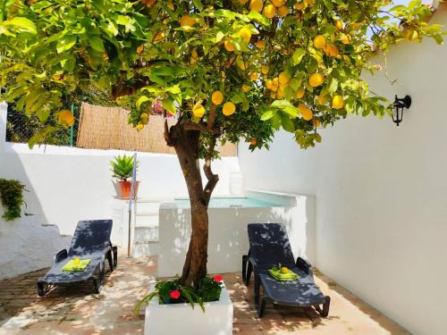 Montecorto House | Casa el Patio del Limón, con piscina