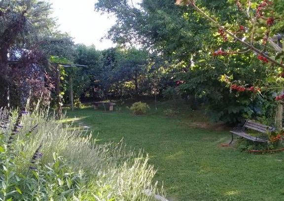 Lujan de Cuyo House | Casa en Luján de Cuyo con pileta