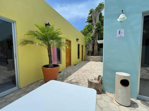 Progreso Municipality Apartment | Casa esperanza