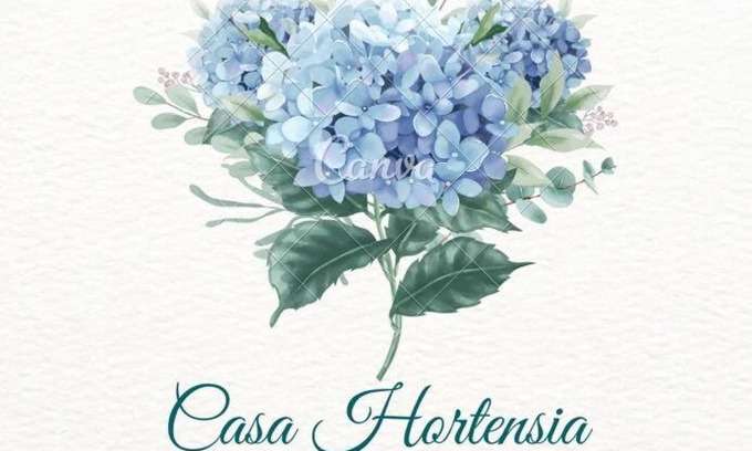 Queretaro Apartment | Casa Hortensia