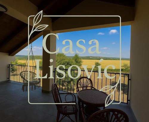 Mladenovac House | Casa Lisović