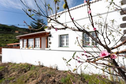 Villa de Mazo House | Casa Los Duraznos