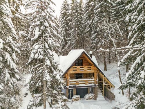 Kopaonik Ski Chalet | Casa Montana
