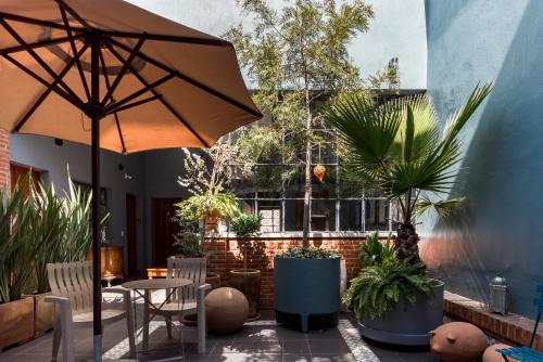 Guadalajara House | Casa Murmullos