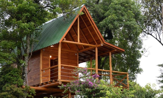 Joao Alves House | Casa na Árvore