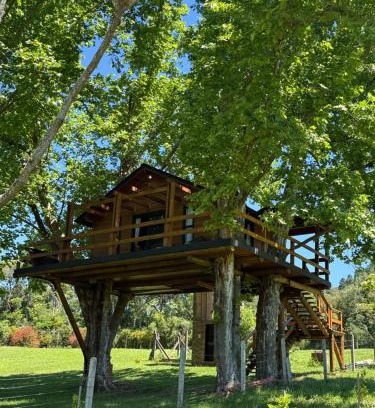 Restinga Ski Chalet | Casa na Árvore - Radosti Experiência