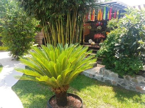 Yautepec House | Casa orquídea