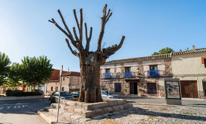 Layos House | Casa Rural Álamo Grande