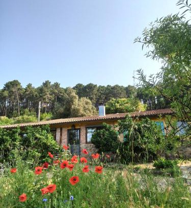 Arenas de San Pedro House | Casa Rural Las Gesillas