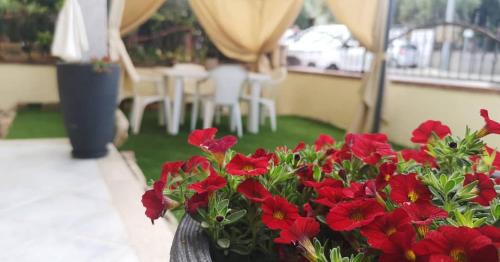 Tanaunella House | Casa Vacanza La volpe