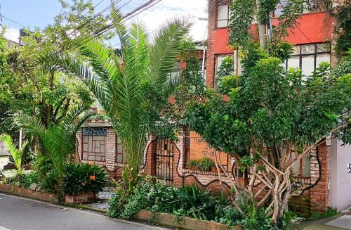 Campin Apartment | Casa Viva Apartaestudio Terraza