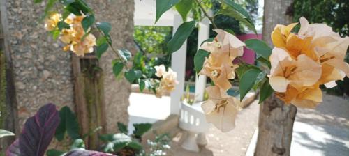 Chichen Itza - Valladolid Apartment | Casas Teoli Casita Rosa