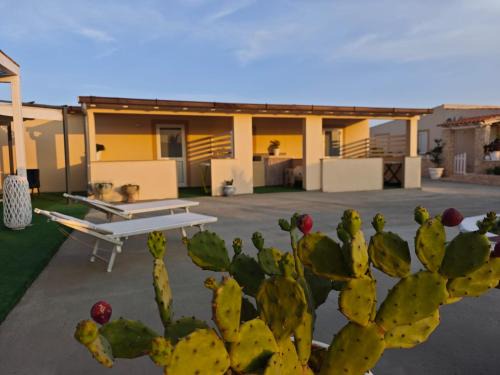 Lampedusa Apartment | Case Victoria - Mamalu